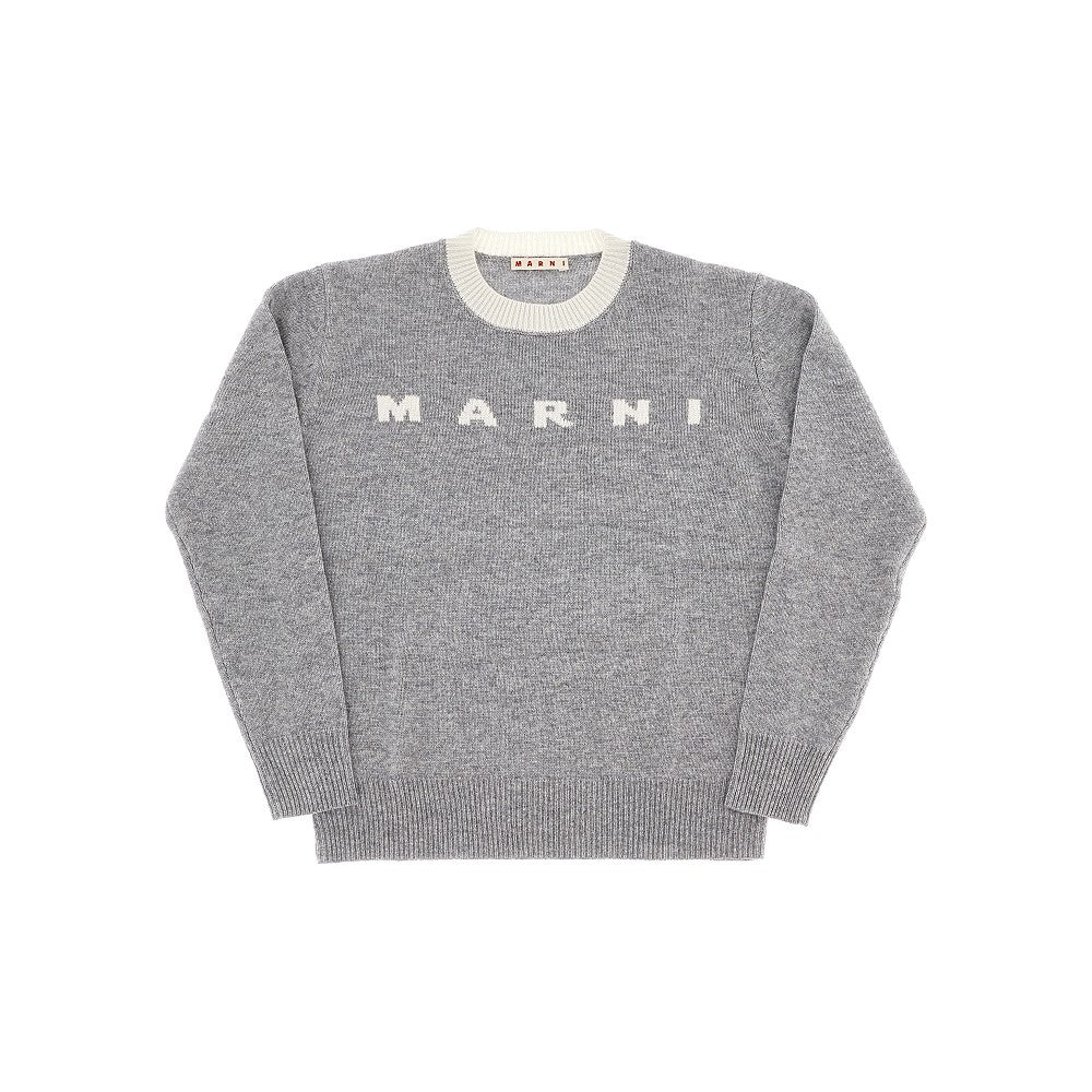 Wool and cashmere sweater with logo