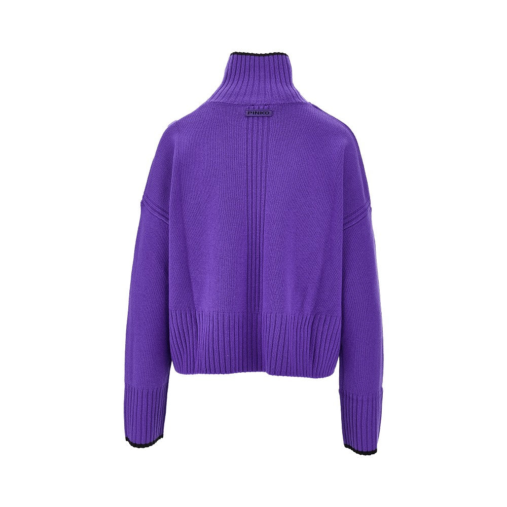 Wool and cashmere turtleneck sweater