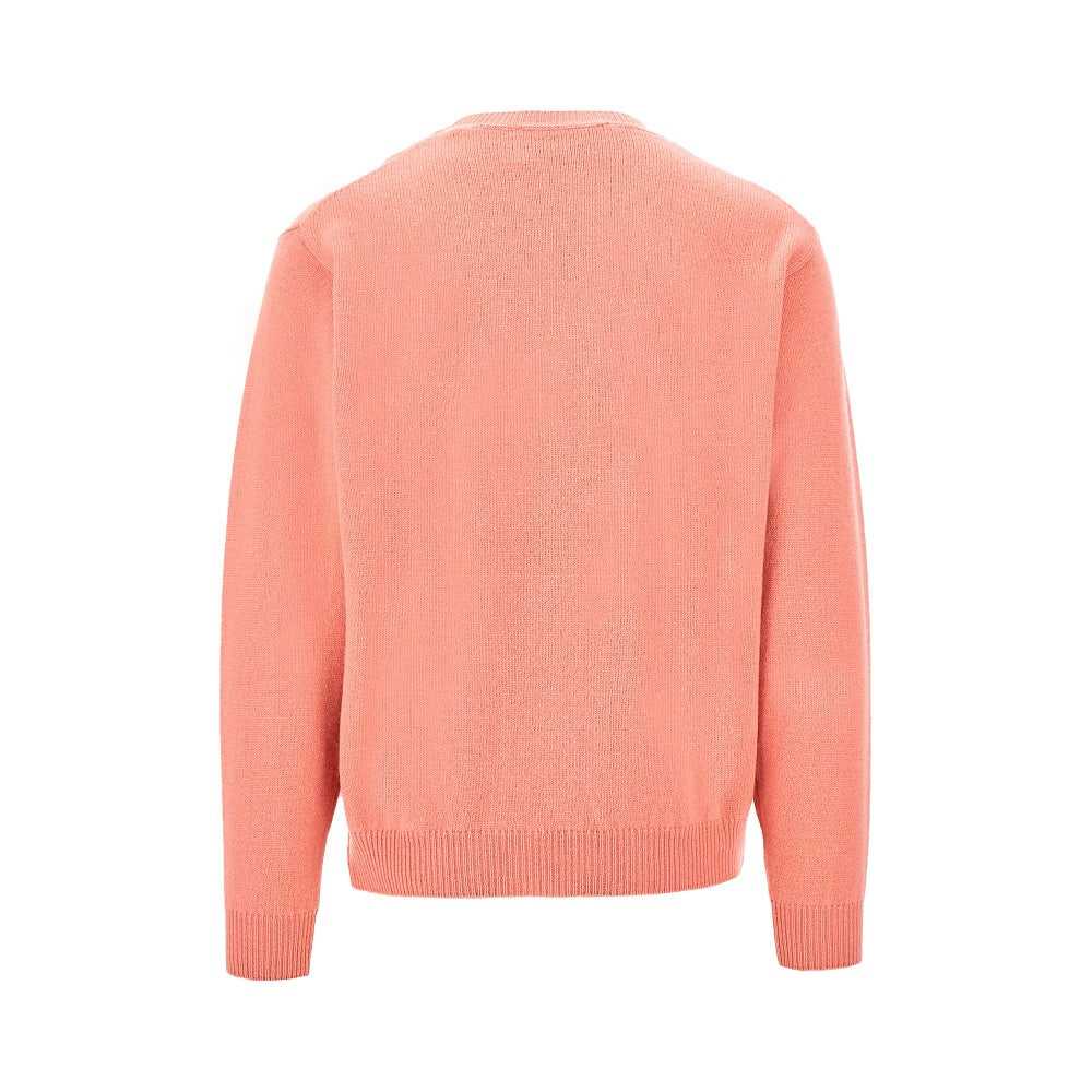 Wool and cashmere crewneck sweater