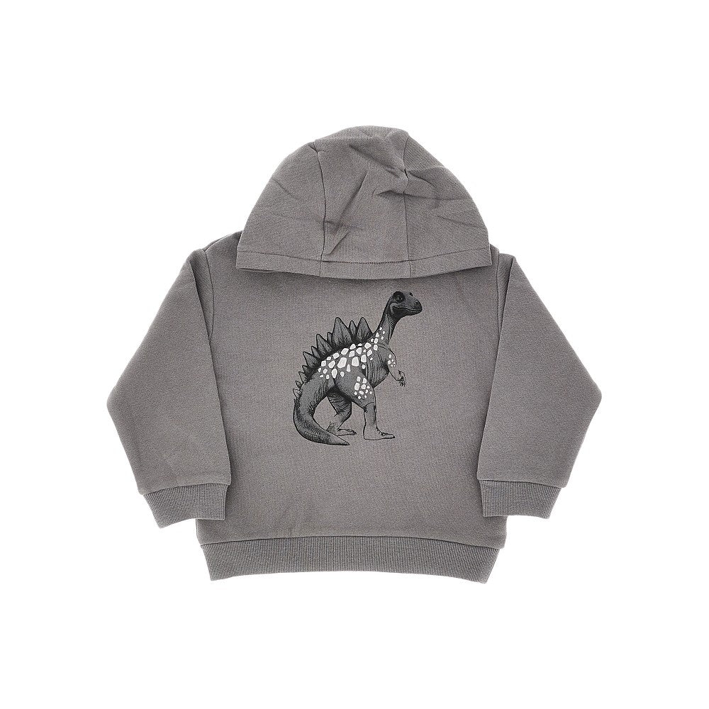 Hoodie with dinosaur print