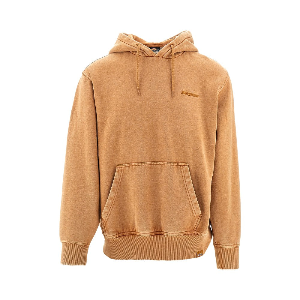 Felpa con cappuccio 'Plentywood'