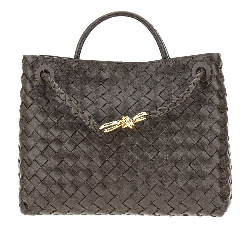 Medium 'Andiamo' bag