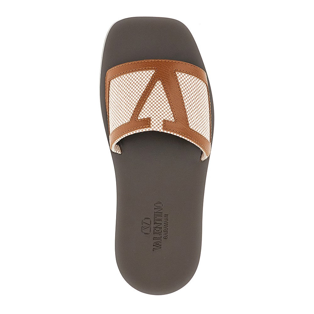 'VLogo Signature' slides