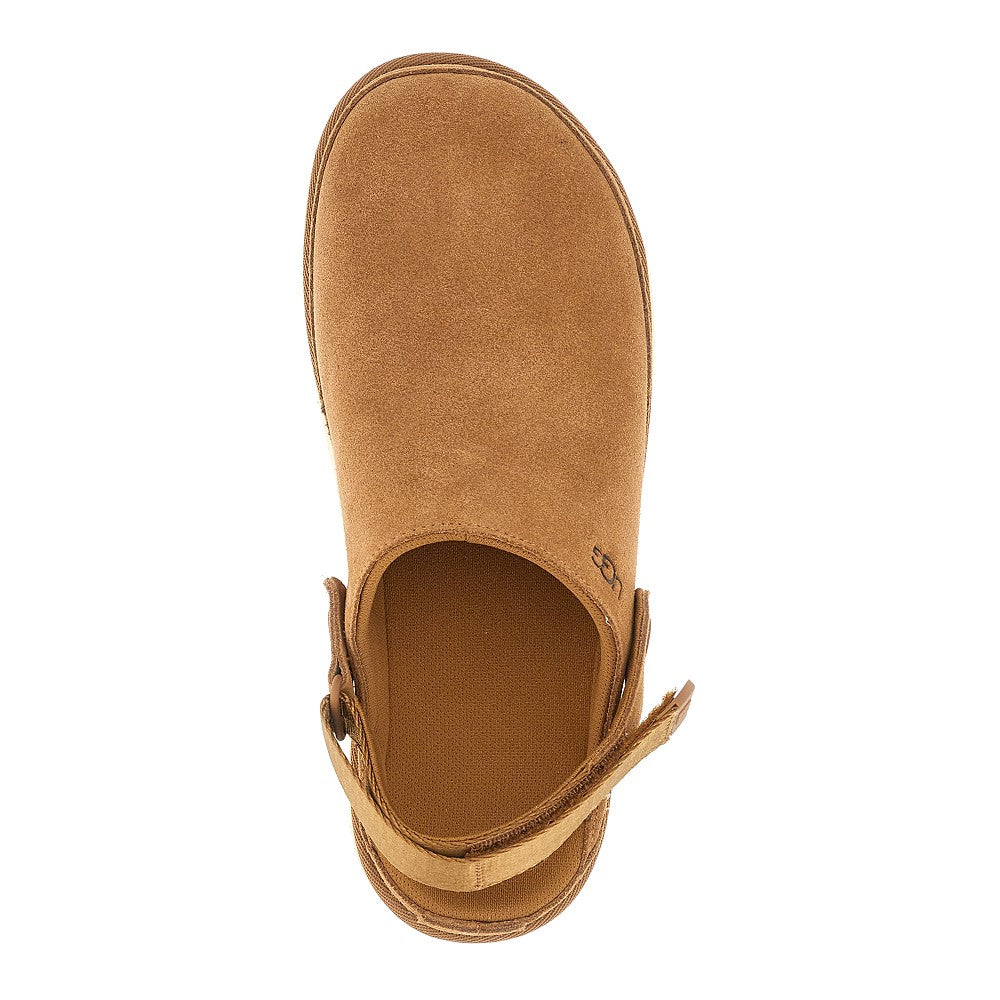 Sabot Goldenstar