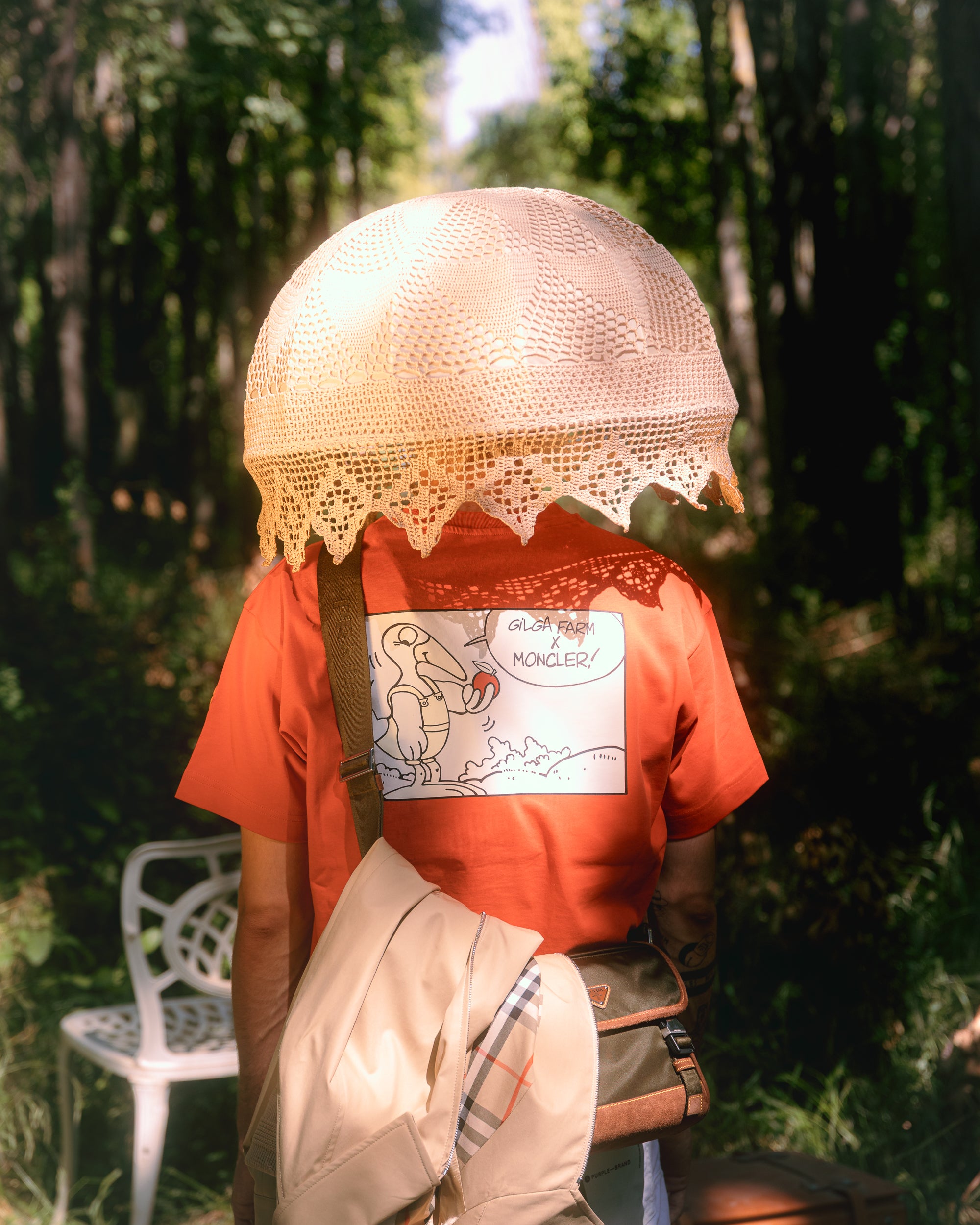 Collection Image