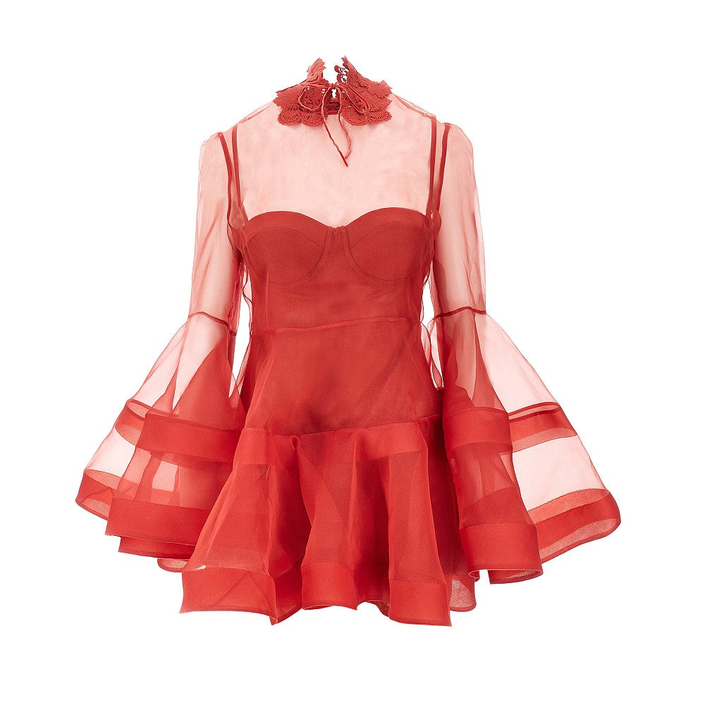 'Rebellion' organdy mini dress