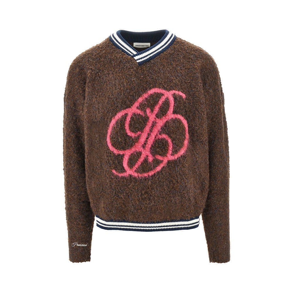 Fuzzy knit sweater