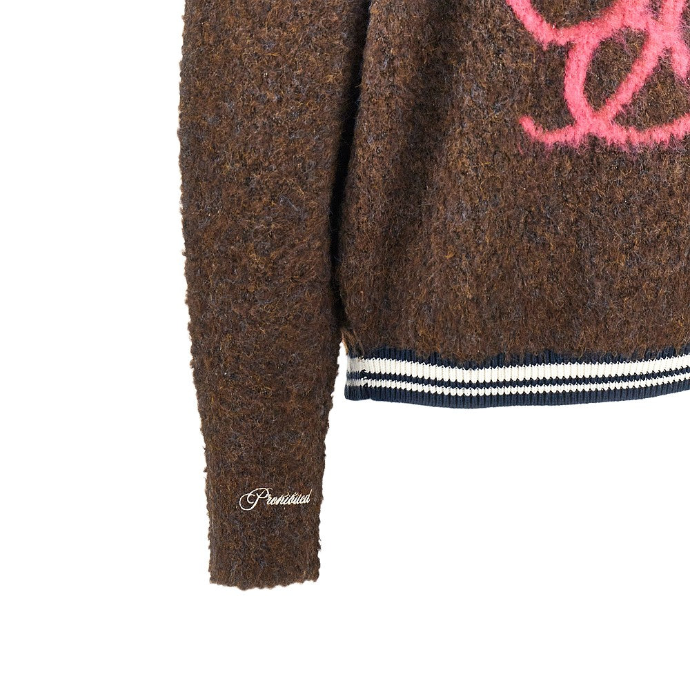 Fuzzy knit sweater
