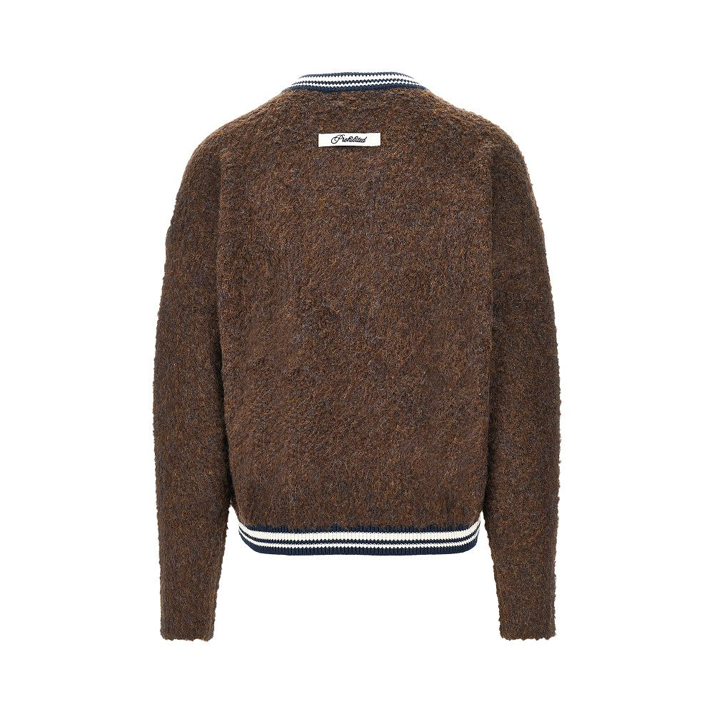 Fuzzy knit sweater