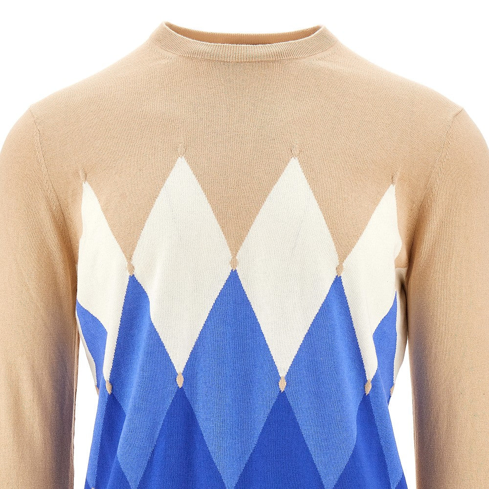 Cotton and cashmere crewneck sweater