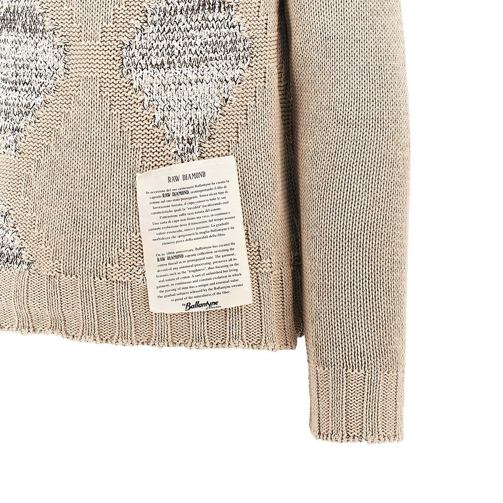 RAW DIAMOND cotton crewneck sweater