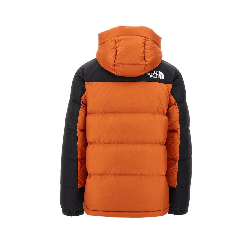 Himalayan down parka